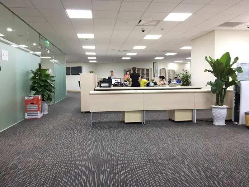 Thảm Văn Phòng Thuận Giao | Mẫu Đẹp Cho Công Ty & Showroom