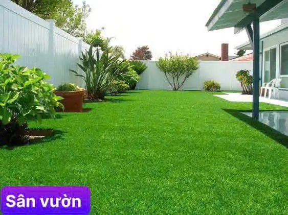 Báo Giá Thảm Cỏ Nhân Tạo Phường Bình Hòa